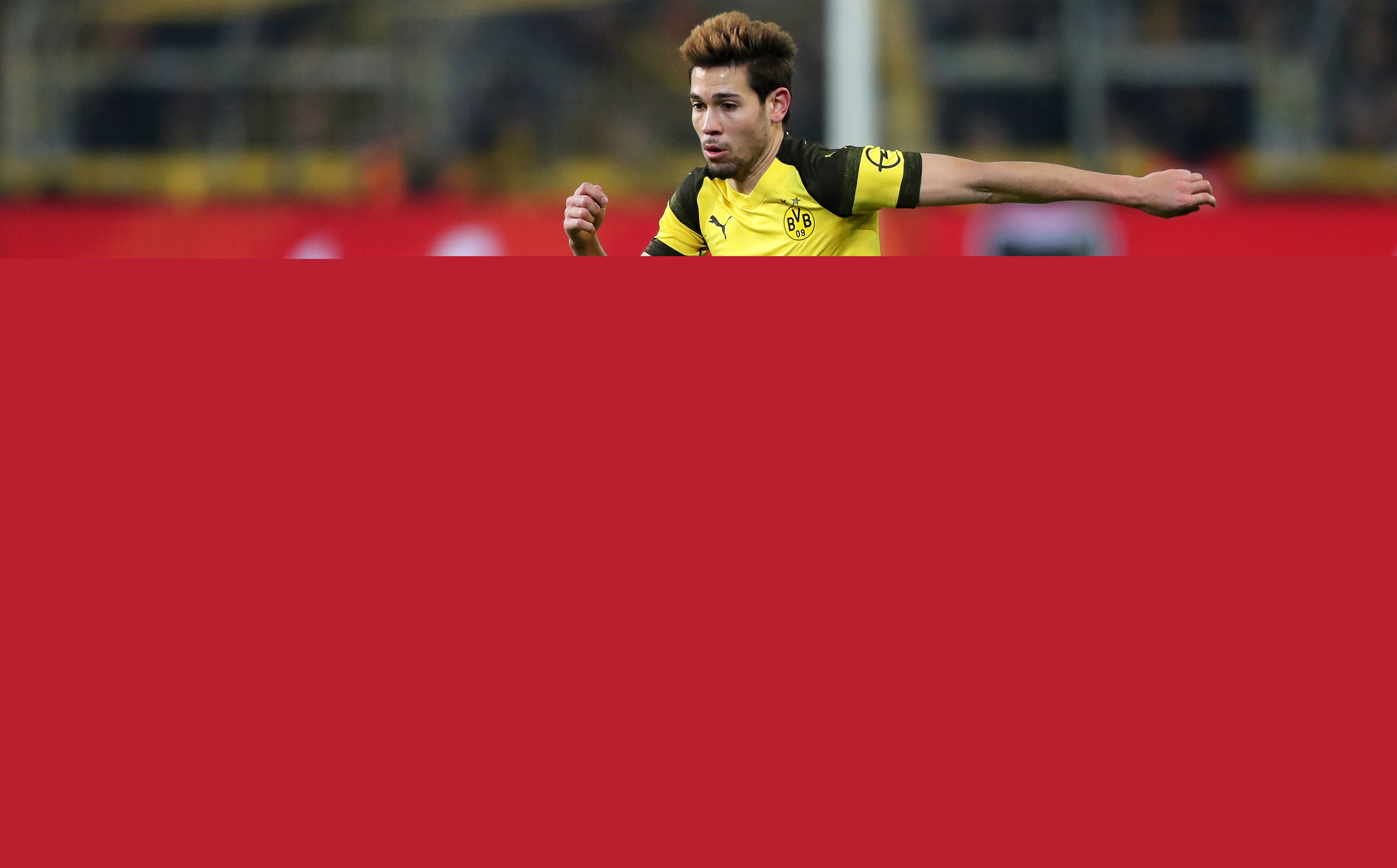 显著放大了 显著放大了